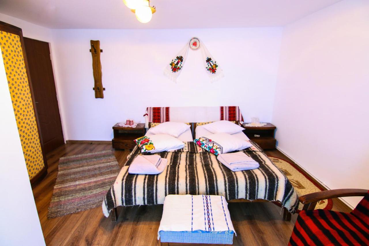 Lacrima Izei Villa Săcel Dış mekan fotoğraf