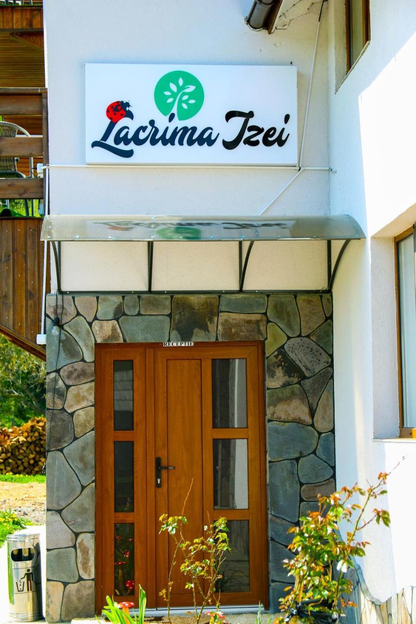 Lacrima Izei Villa Săcel Dış mekan fotoğraf