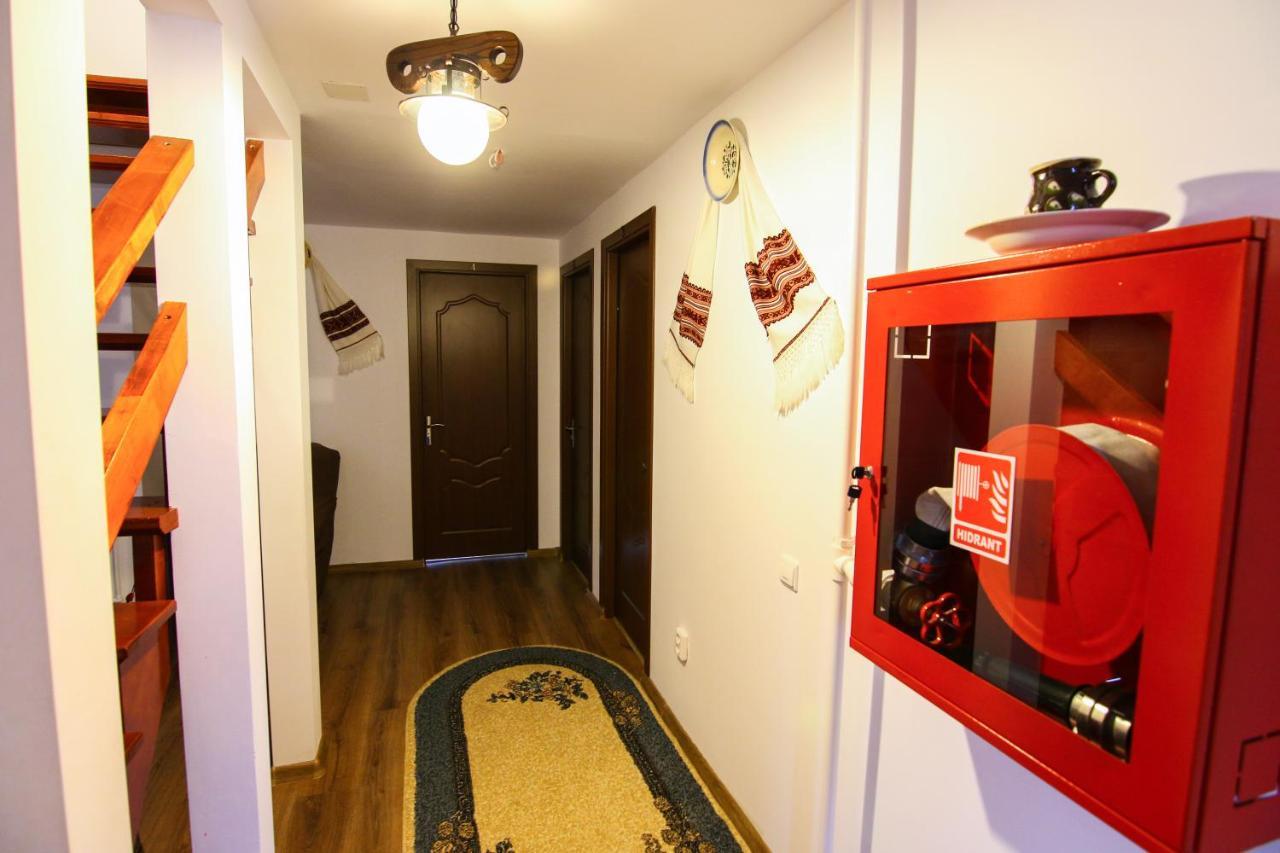 Lacrima Izei Villa Săcel Dış mekan fotoğraf